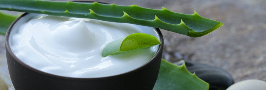 L’Aloe vera